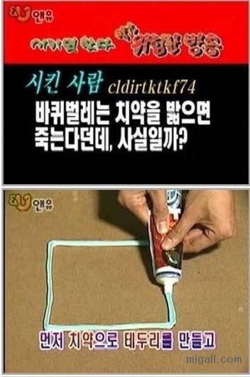 군대에 바퀴벌레가 없는 이유