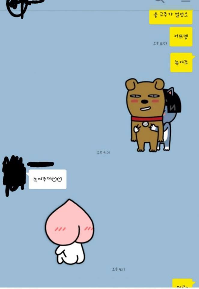 고추가 얼었어 녹여줘….카톡모음