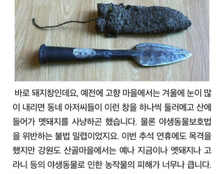 아버지와의 멧돼지 사냥